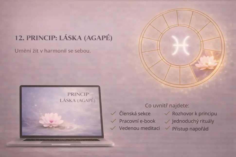 Dvanáctý princip Láska Agapé v&nbsp;programu 12 životních principů.
