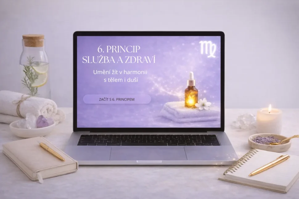 Šestý životní princip – služba a&nbsp;zdraví, symbolizovaný péčí, každodenní praxí a&nbsp;vědomou pozorností.