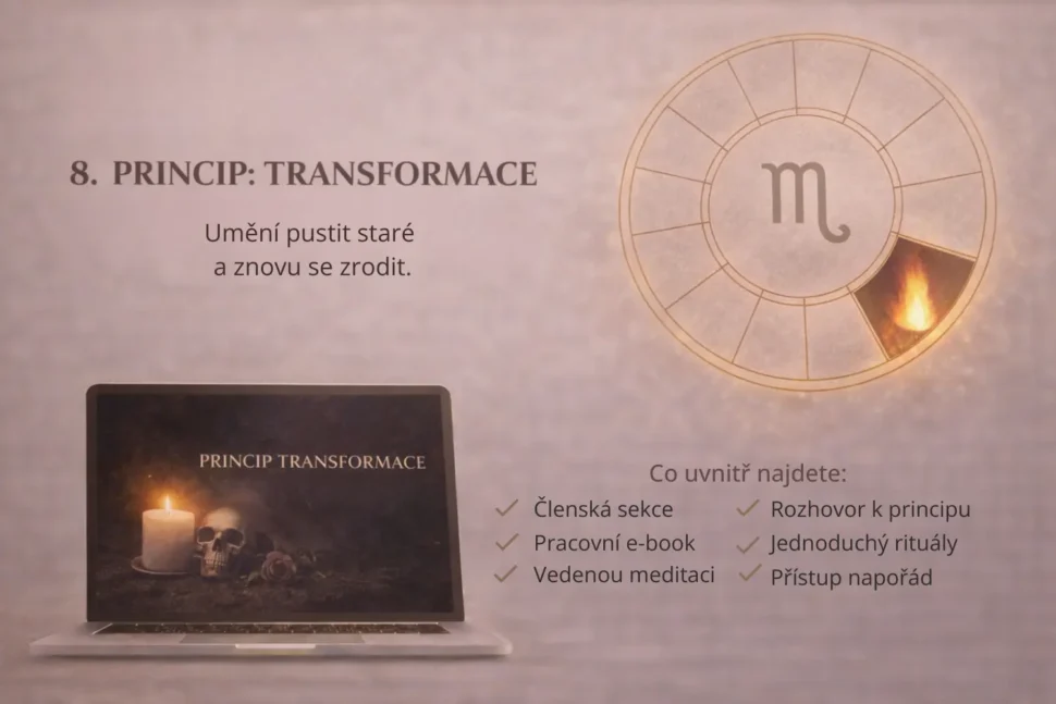 Osmý princip Transformace v&nbsp;online programu 12 životních principů.