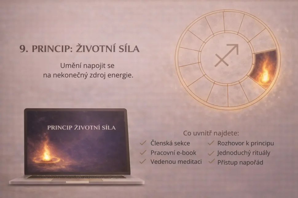 Devátý princip Životní síla v&nbsp;programu 12 životních principů.