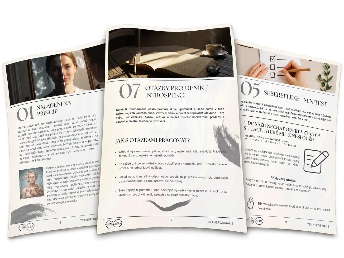 Ukázka skutečných stran pracovního e-booku Transformace
